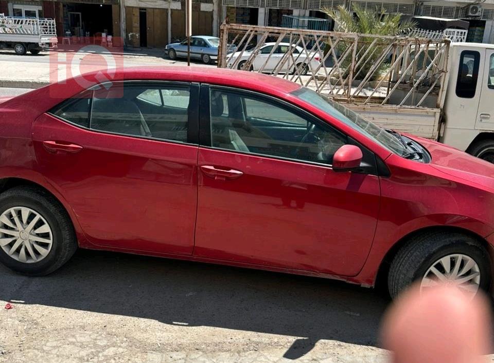 تويوتا كورولا